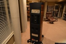 Speaker Back.JPG
