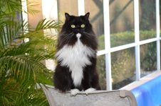 Muffy 1-2012 006.jpg