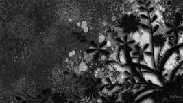black-and-white-abstract-black-and-white-abstract.jpg