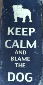 Blame.JPG