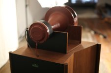 speaker rear.jpg
