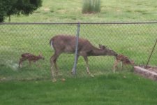 IMG_3323.JPG