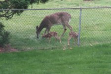IMG_3324.JPG