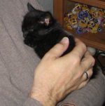 baby_athena.jpg