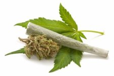 marijuana-leaf-joint-140423.jpg