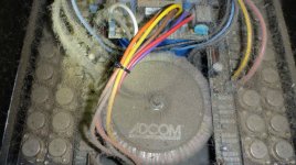 022013CatAudio1.jpg