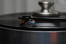 DSC_0013.JPG