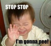 stop-stop-im-gonna-pee-lol-graphic.jpeg