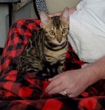 Marleigh (99).jpg