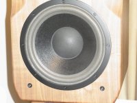 RIMG0103.JPG