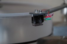 DSC_0100.JPG