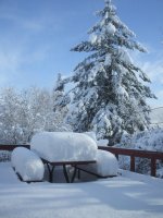 2008_0101Image0004.JPG
