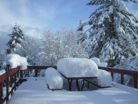 2008_0101Image0003.JPG