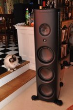 left speaker with gizmo.JPG
