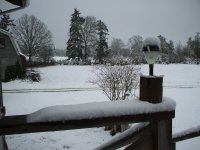 DSCF1087.JPG