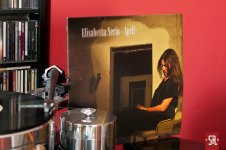 Vinyl-0009.jpg