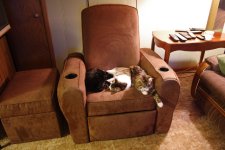 fortress cats5.JPG