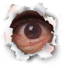 eye2bh.gif
