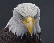 6C73AB0C-40BC-4117-B0C1-3F7B95B2C3D8.jpeg