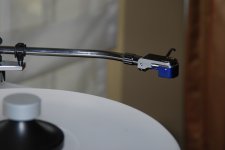 DSC_0101.JPG