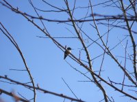 DSCF1134.JPG