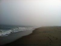 IMG_0644.jpeg