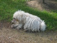 IMG_2001.JPG