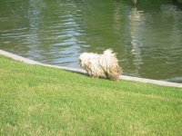 IMG_1997.JPG