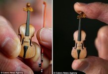 worlds_smallest_violin2.jpg
