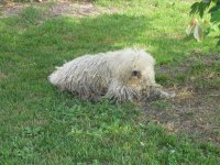 IMG_1993.JPG