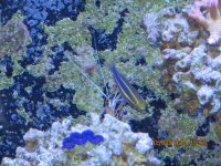 IMG_0003.JPG