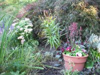 DSCF0842.JPG