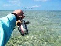 1028-Fishon2_zps552b8d9d.jpg