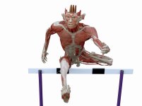mwbw-bodyworlds.jpg