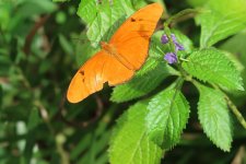 IMG_0328.JPG