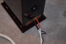 picture 3.jpg