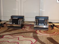 CAT amps.jpg