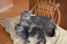 DSC_0117.jpg