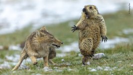 natgeo-1-5da6b6bdc40b6__880.jpg