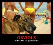 obvious-hell-yeah-i-m-gonna-sniff-it-0ea77b.jpg