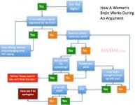 womensbrain-500x390.jpg