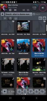 Alice in Chains.jpg