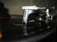 IMG_5228 (Large).JPG
