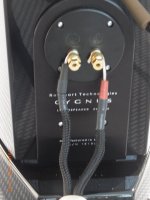 RIMG0211.JPG