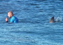news-Mick-Fanning-Shark.jpg