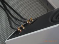 RIMG0197.JPG