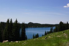 DSC02599 (Large).JPG
