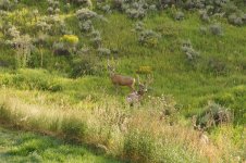 DSC02693 (Large).JPG