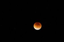 DSC02757 (Large).JPG