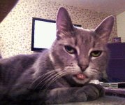 image.jpeg